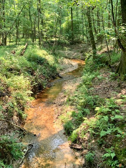 Recreational Property in Clarke County, Georgia