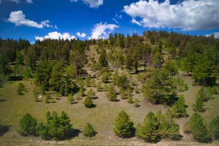Undeveloped Land in Park County, Colorado