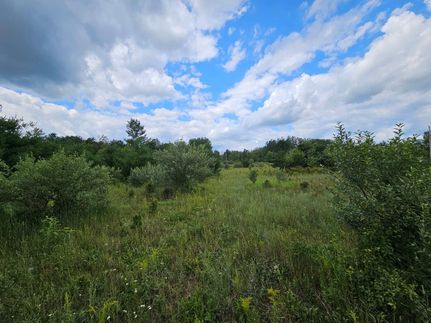 Recreational Property in Alcona County, Michigan