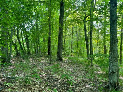Timberland Property in Crow Wing County, Minnesota