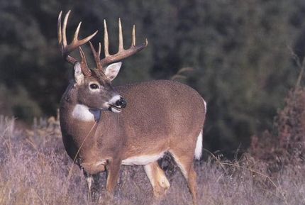 Recreational Property for sale in Crockett County, Texas