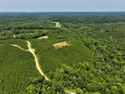 Recreational Property in Trigg County, Kentucky