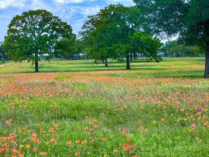 Farm and Ranch in Bastrop County, Texas
