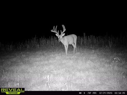 Land in Greenwood County, Kansas