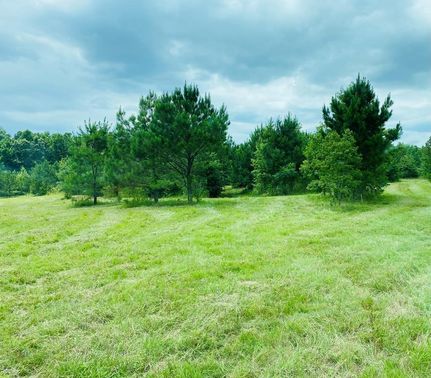 Farm and Ranch in Panola County, Mississippi