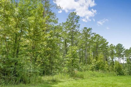 Undeveloped Land in Lincoln County, Mississippi