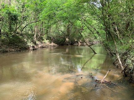 Recreational Property in Pike County, Mississippi