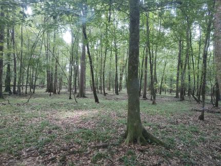 Recreational Property in Crenshaw County, Alabama