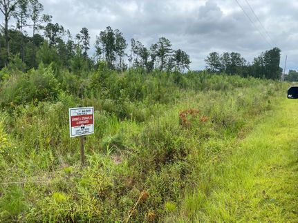 Farm and Ranch in Williamsburg County, South Carolina