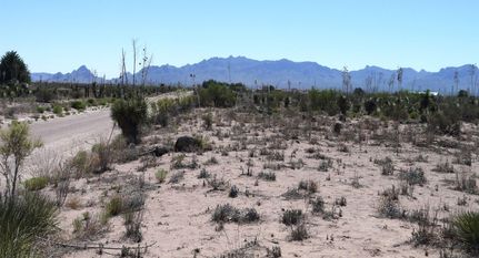 Undeveloped Land in Luna County, New Mexico
