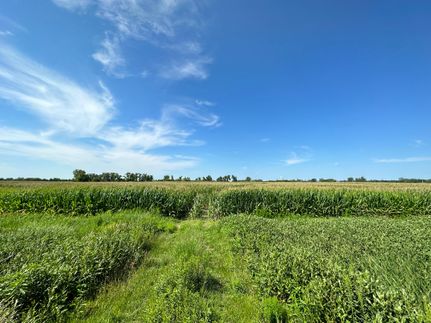 Undeveloped Land in Douglas County, Nebraska