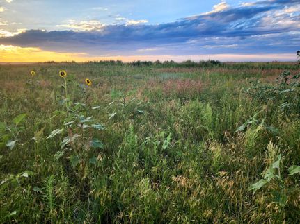 Land in Lincoln County, Colorado