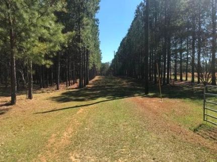 Land in Clay County, Georgia