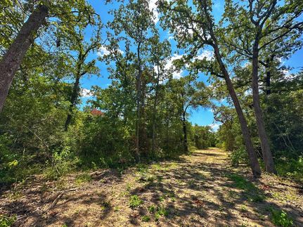 Recreational Property in Leon County, Texas