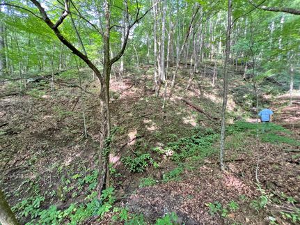 Undeveloped Land in Madison County, North Carolina