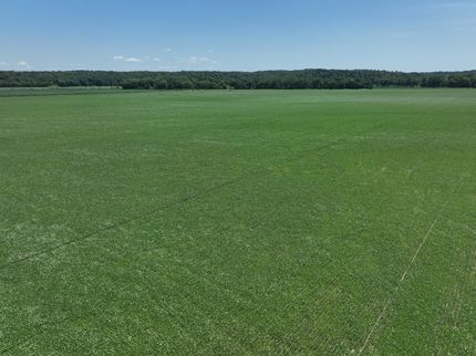 Farm and Ranch in Vermilion County, Illinois