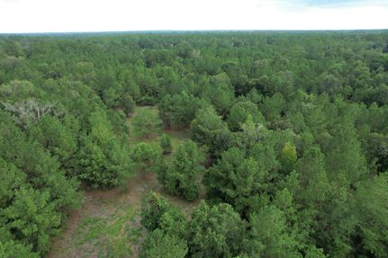 Land in Marion County, Florida
