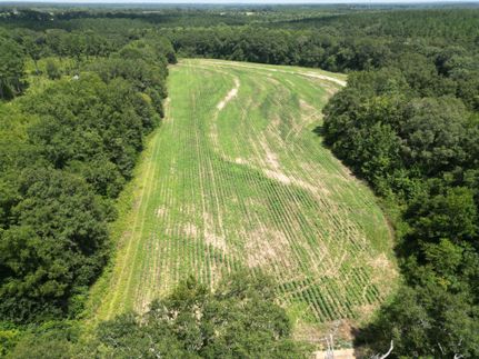 Farm and Ranch in Holmes County, Florida