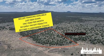 Timberland Property in Cibola County, New Mexico