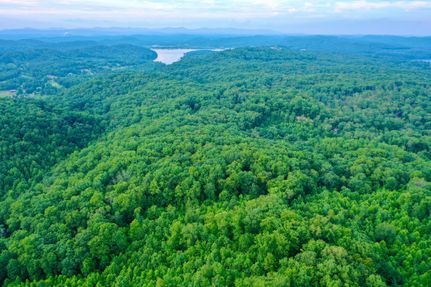 Timberland Property in Roane County, Tennessee