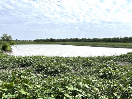 Land in San Saba County, Texas