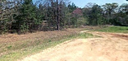 Undeveloped Land in Polk County, Texas