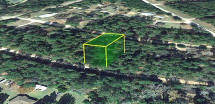 Undeveloped Land in Tyler County, Texas