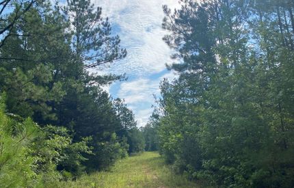 Hunting Property in Lowndes County, Alabama