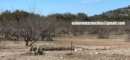 Farm and Ranch for sale in Edwards County, Texas