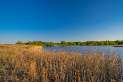 Undeveloped Land in Wise County, Texas