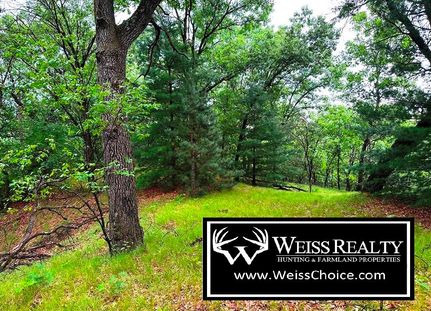 Undeveloped Land in Sauk County, Wisconsin