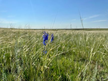 Timberland Property in Laramie County, Wyoming