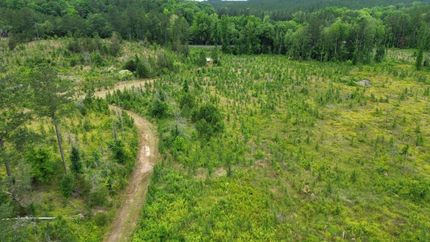 Hunting Property in Fairfield County, South Carolina