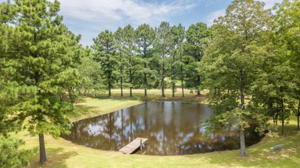 Undeveloped Land in McCurtain County, Oklahoma