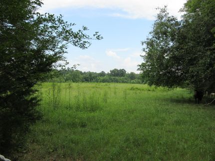 Farm and Ranch in Jackson County, Alabama
