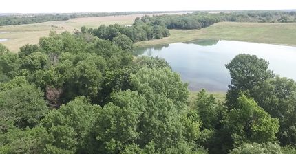 Timberland Property in Nowata County, Oklahoma