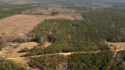 Recreational Property in Crenshaw County, Alabama