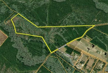 Hunting Property in Worcester County, Maryland
