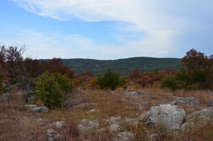 Timberland Property in Saint Francois County, Missouri