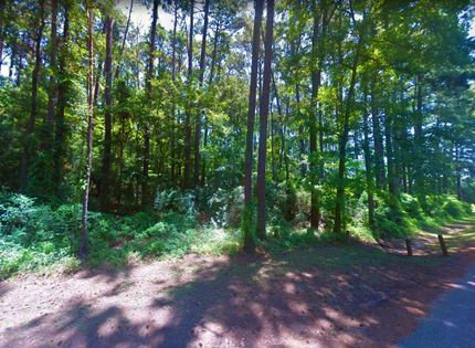 Undeveloped Land in Sabine County, Texas