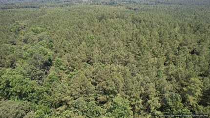 Land in Newton County, Mississippi