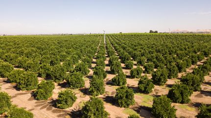 Farm and Ranch in Tulare County, California