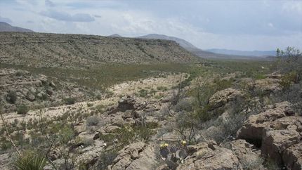 Undeveloped Land in Hudspeth County, Texas