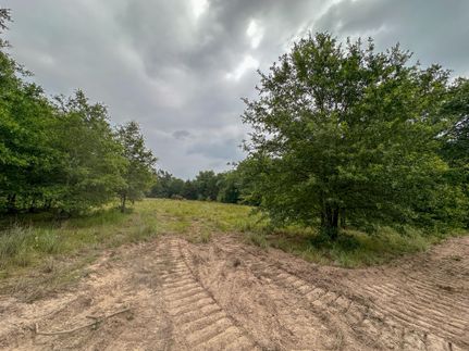 Undeveloped Land in Freestone County, Texas