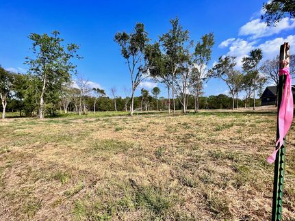 Undeveloped Land in Navarro County, Texas