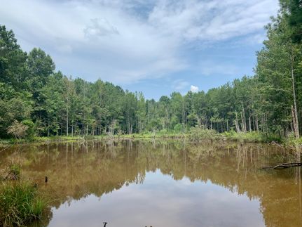Recreational Property in Butler County, Alabama