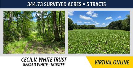 Undeveloped Land in Hancock County, Illinois
