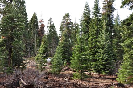Hunting Property in Modoc County, California