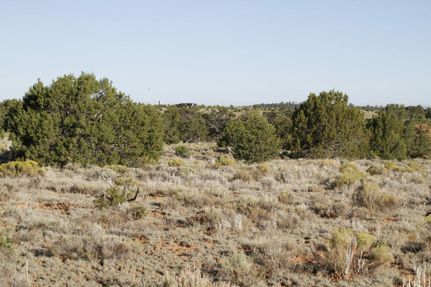 Land in Cibola County, New Mexico