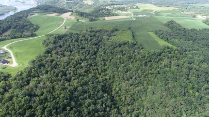 Timberland Property in Buffalo County, Wisconsin